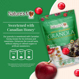 Nature's Mix - Apple Cranberry Granola - Apples, Cranberries and Pumpkin Seeds - No Sugar, Salt, or Preservatives - Kosher, Vegan, Soy-Free - Large
