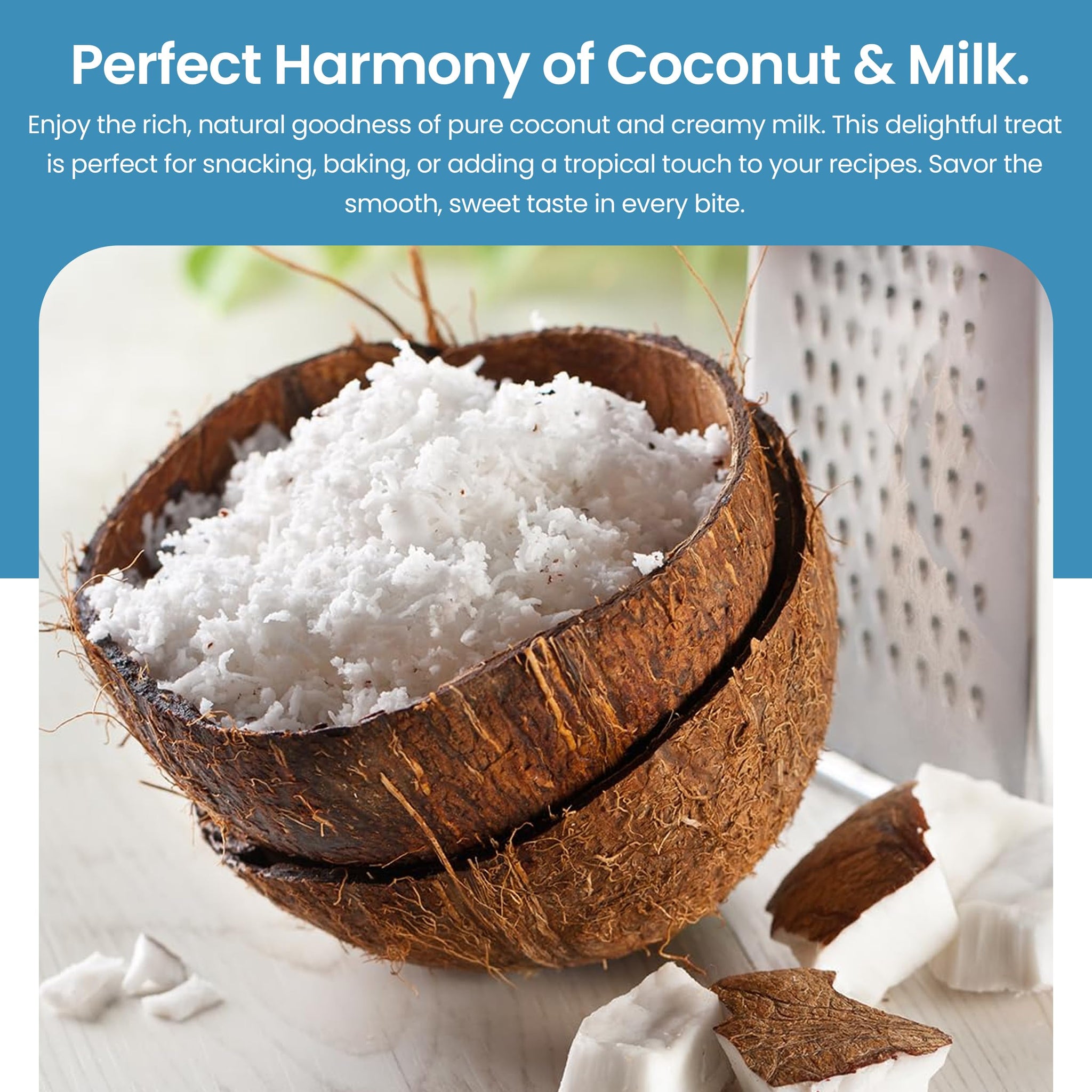 La Bayamesa || Coco Blanco || 3lb || (Coconut & Milk Candy Snack) coconut yogurt || coconut cookies || (pack 24)
