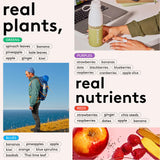 kencko Instant Smoothie Powder Mix Variety Packets, 16 Pack - Reds, Blues, Greens & Purples - Healthy Freeze-Dried Fruit & Veggie Superfood Powdered