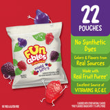 Funables Fruity Snacks, Mixed Berry Flavored Snacks, 0.8 oz 22 ct