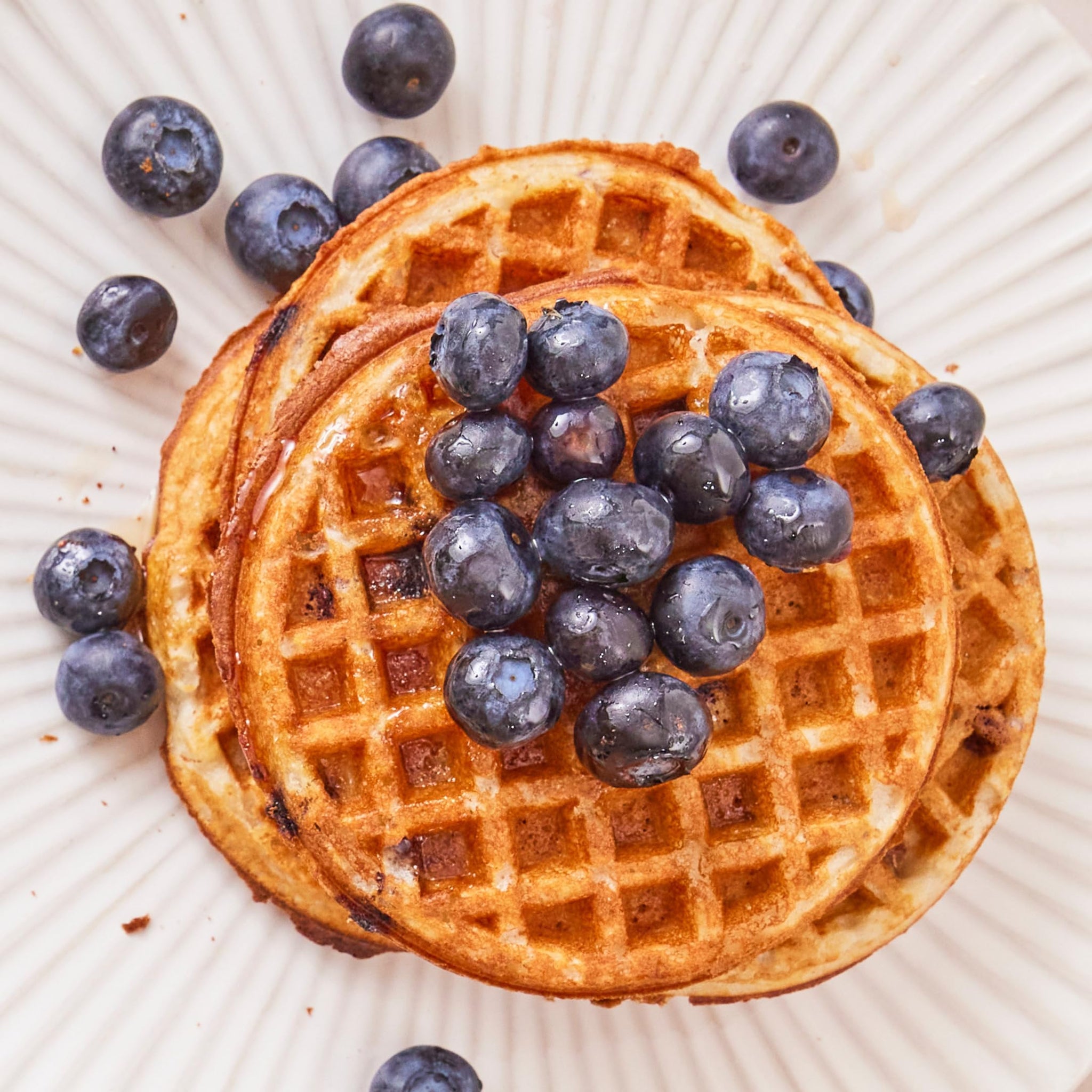 Brazi Bites Gluten-Free Blueberry Waffles | Six Count Cartons (8-pack)
