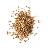 Earthborn Elements Whole Coriander Seeds 1 Gallon Bucket, Pickling & Meat Rubs, Spicy & Citrusy