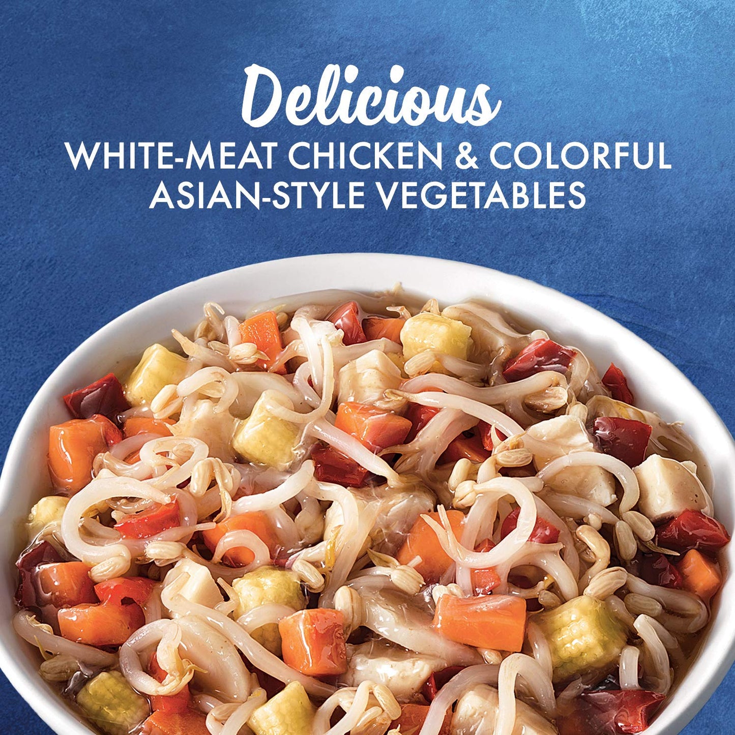 La Choy Chicken Chow Mein White Meat Chicken & Sauce With Asian-style Vegetables, 42 oz.