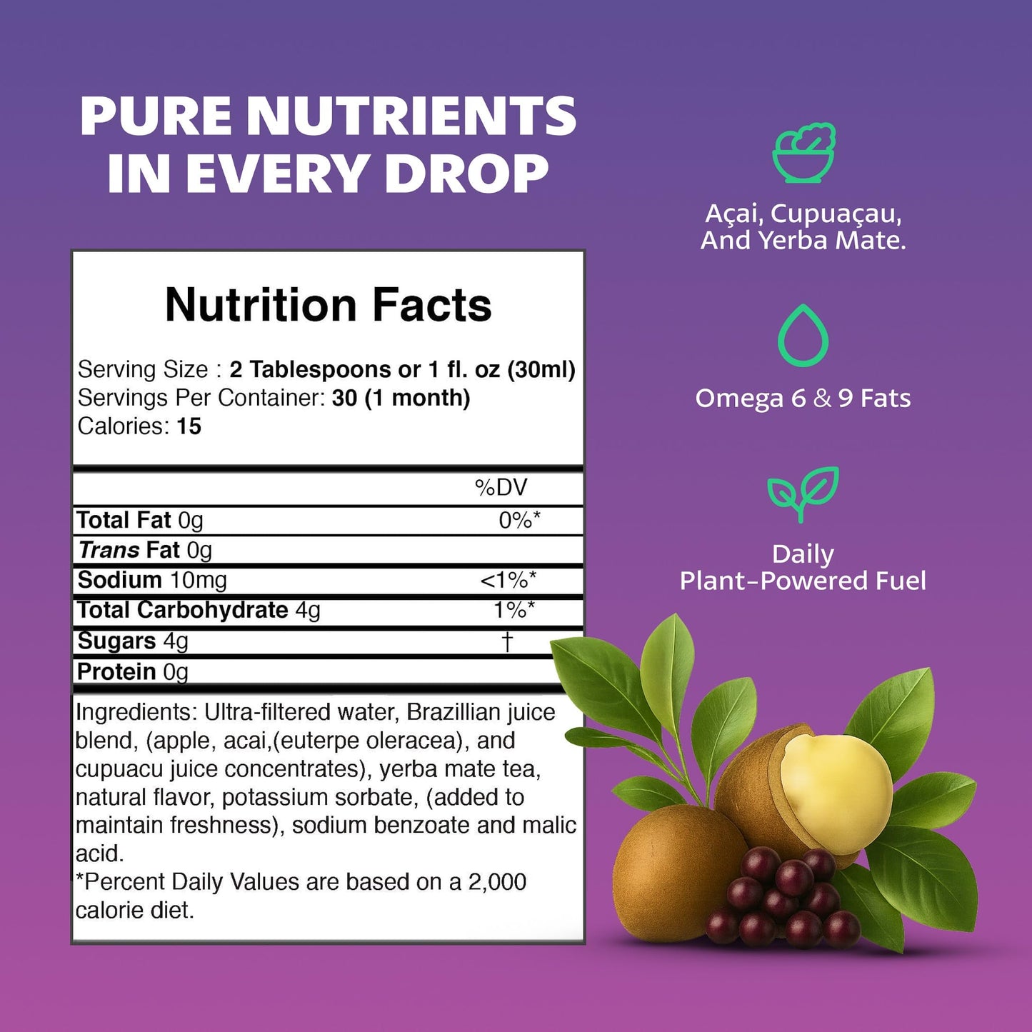 Fruta Vida - 12 Pack of 30 oz Bottles - Acai - Yerba Mate - Cupuacu Juice - by Pro Image International