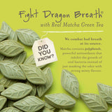SEN CHA Naturals Green Tea Mints, Sugar-Free Breath Mints, Made With Organic Japanese Matcha Green Tea, Gluten-Free, Sugar-Free, Vegan