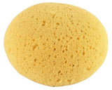 Jacks Synthetic Tack Sponge