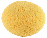 Jacks Synthetic Tack Sponge