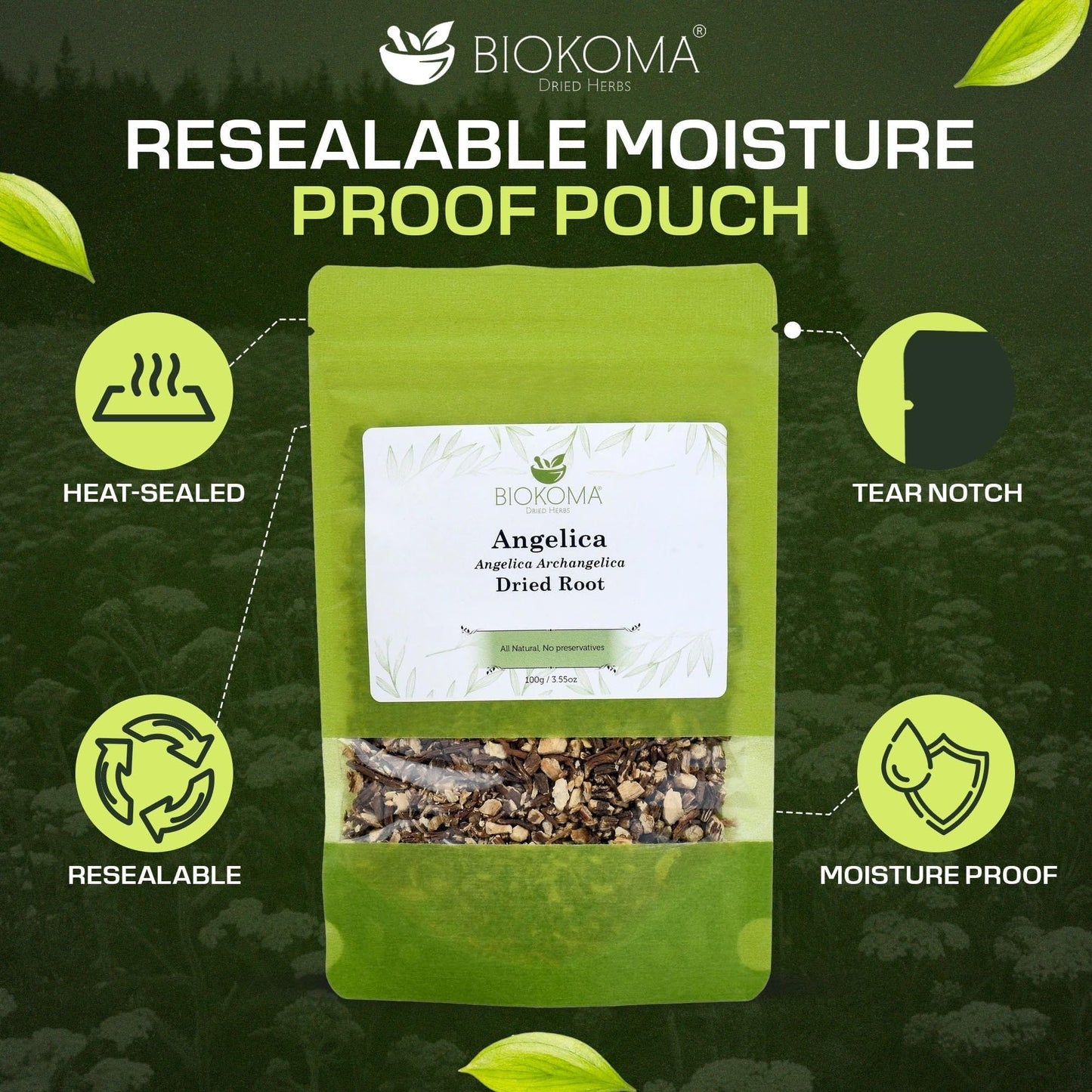 Biokoma Angelica Dried Root 100g 3.55oz Loose Herb Dong Quai Angelica Archangelica Herbal Tea Digestive Respiratory Support Women’s Health Resealable