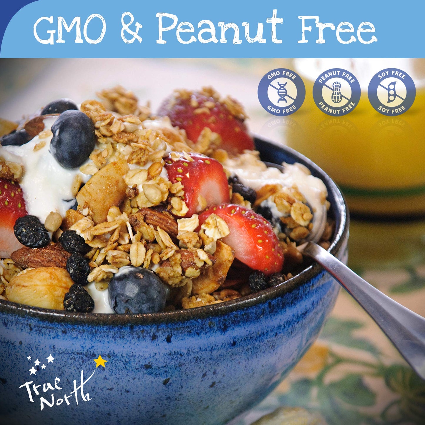 True North Granola - Granola Blues with Dried Blueberries, Almonds and Cashews, All Natural and Non-GMO, Bulk Bag, 5 lb.