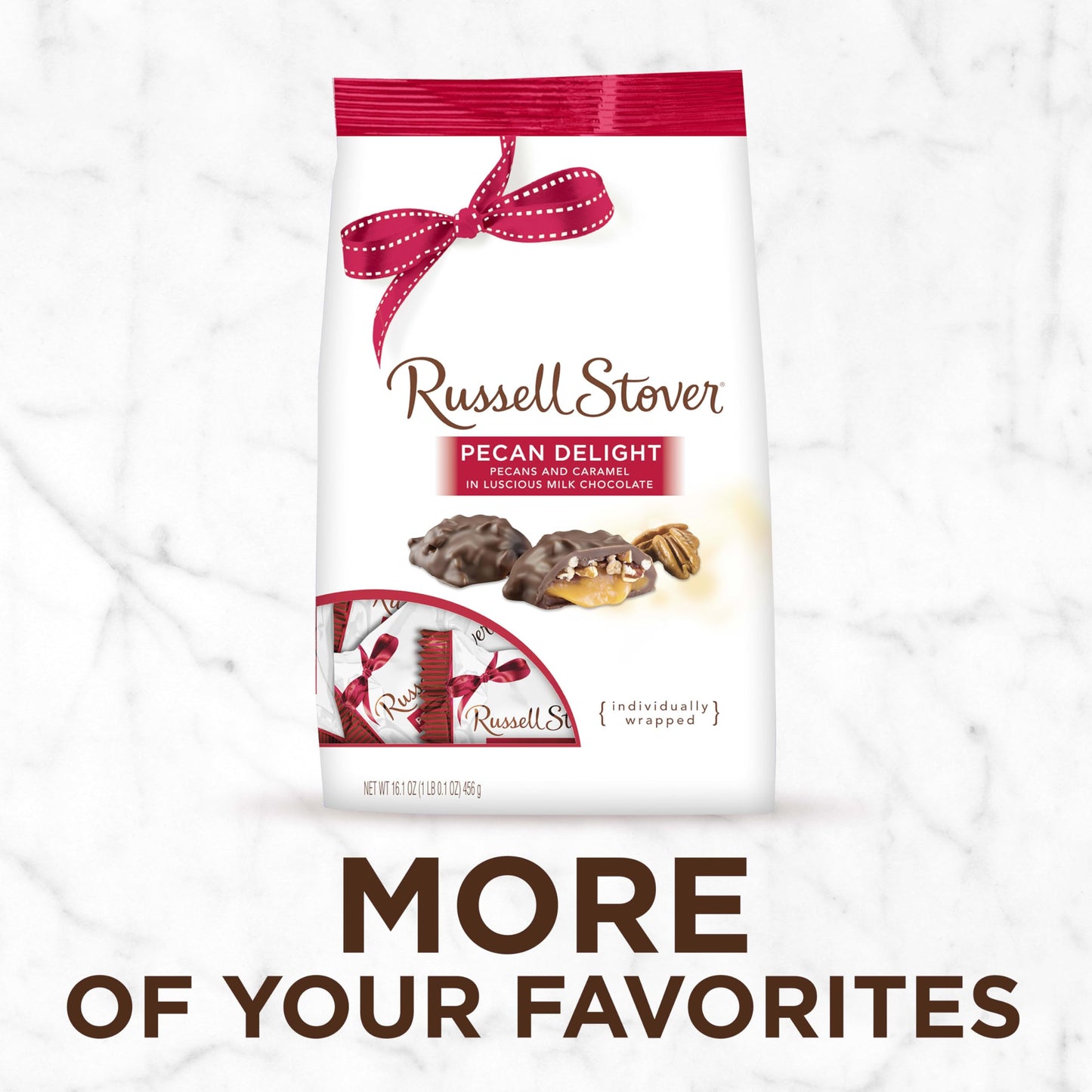 Russell Stover Pecan Delight Gusset Bag 16.10 Ounce Russel Stover Milk Chocolate Covered Candy Pack, Crunchy Pecans and Buttery Caramel Covered In