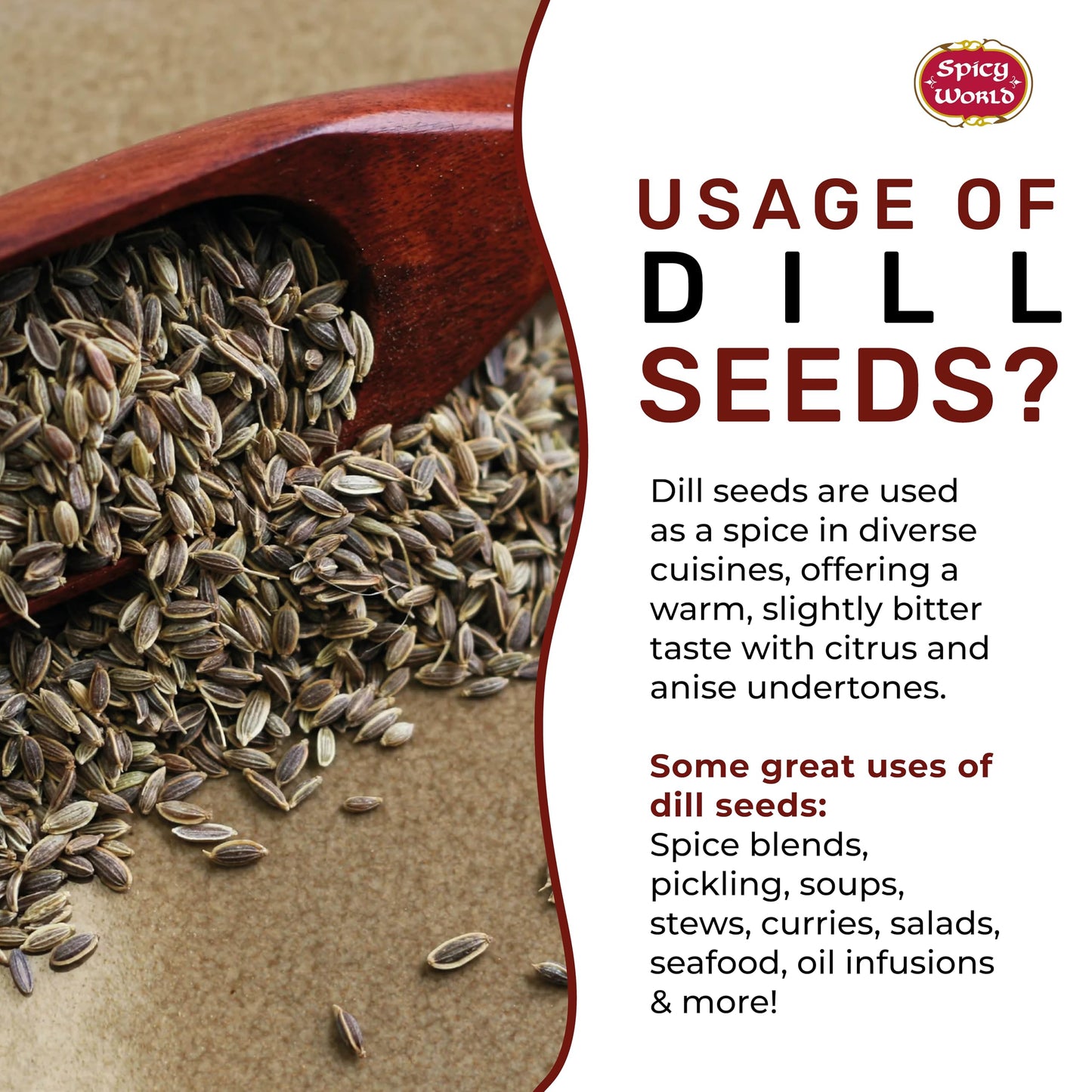 Dill Seeds 6 LB Jar - Bulk Jar, Whole Spice, Perfect for Pickling and Eating, Resealable - By Spicy World