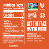 Zevia Natural Ginger Root Beer Zero Calorie Soda (4x6/12 OZ)