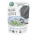CLEAR CREEK Black Lentils | Caviar or Beluga Lentils | 1 lbs | Non-GMO | Kosher | Vegan | Non-Irradiated