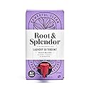 Root & Splendor Ultra Concentrated Non Toxic Laundry Detergent Liquid - Plant Based & Eco Friendly Enzymatic Laundry Soap, Hush Scent, 1 Liter, 67