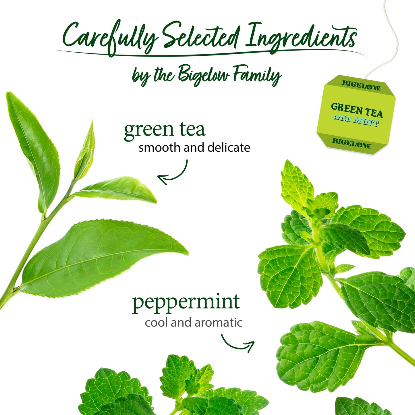 Bigelow Tea Green Tea - with Mint - Case of 6 - 20 BAG