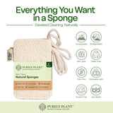 Purely Plant Loofah Dish Sponge 6 Pack-Non Toxic, 100% Plastic Free, Compostable & Biodegradable Premium Kitchen Scrubber, Plant Based, Non-Scratch
