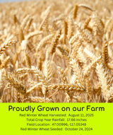 Palouse Brand Certified Glyphosate Residue Free Hard Red Winter Wheat Berries | 5 LBS | Family Farmed in Washington State | Non-GMO Project Verified | Certified Kosher Parve