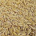 Smarty Stop California Almond Nuts Collection (Blanched Slivered Almonds, 2 LB)