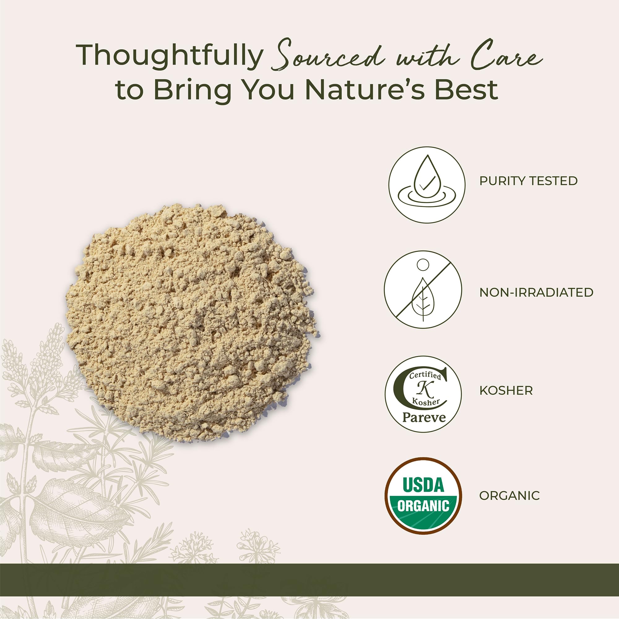 Starwest Botanicals Organic Ginger Root Powder, 2 Pound