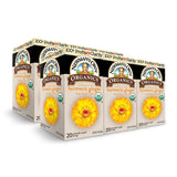 Newman's Own Organic Turmeric Ginger Herbal Tea, Caffeine-Free, Savory & Spicy Flavors Combined For The Perfect Cup Of Tea, 6 Pack Of 20 Tea Bags