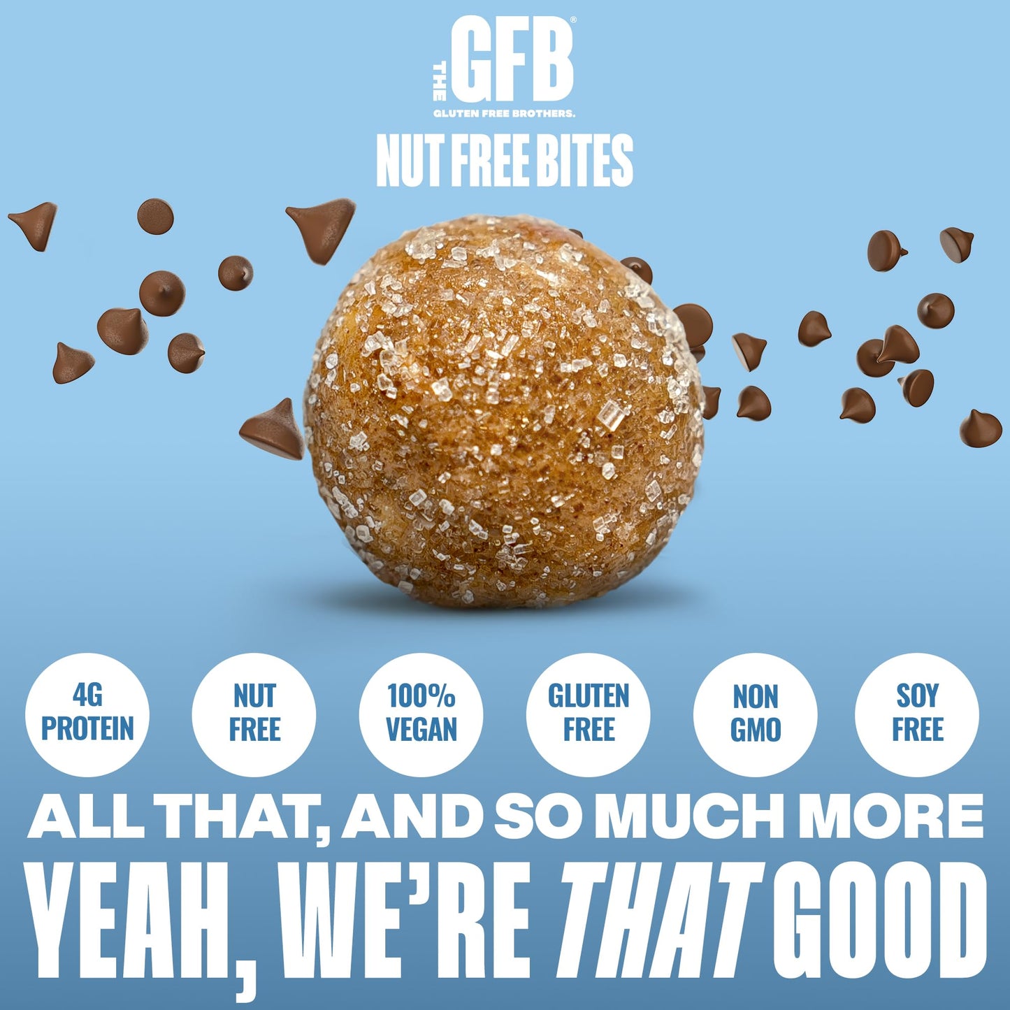 The Gluten Free Brothers Chocolate Chip Cookie Dough Nut Free Bites - Allergen Friendly, Gluten Free, Soy Free Protein Balls - Plant Based Vegan