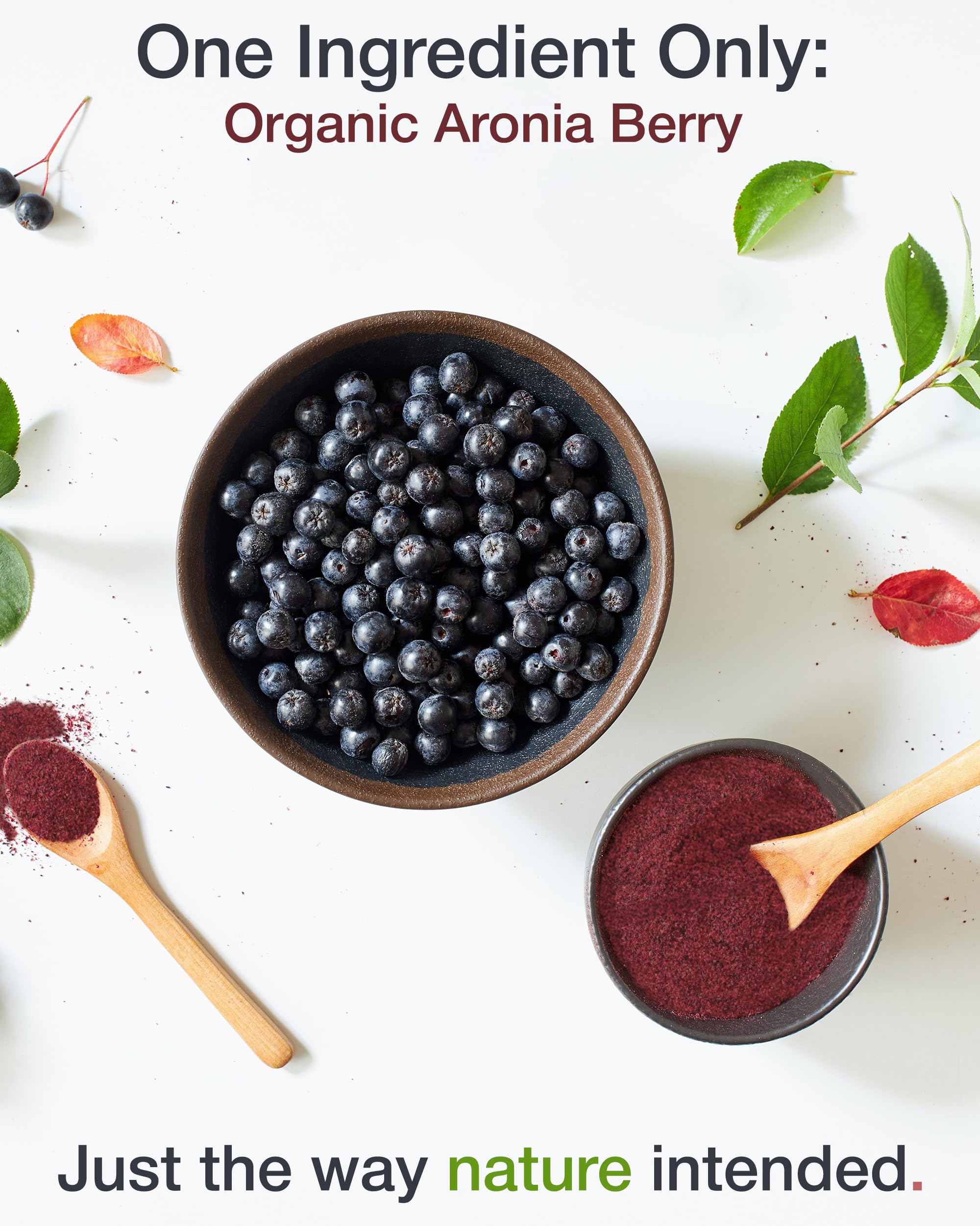 Green Valley Superfoods Organic Aronia Berry Juice Powder, Chokeberry, Antioxidant Rich Anthocyanins (12 Ounce)