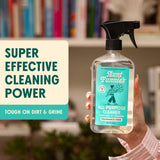 Aunt Fannie's All Purpose Household Cleaner, Multi-Surface Spray Cleaner, Powered by Vinegar for Kitchen, Bath, Windows and Countertops, Fragrance