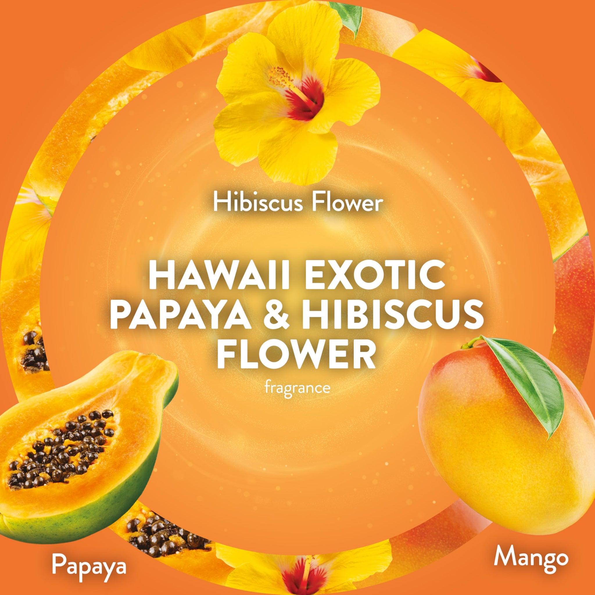 Air Wick Plug-In Scented Oil Refills, 2 Count, Hawaii Exotic Papaya and Hibiscus Flower, Air Freshener, Essential Oils