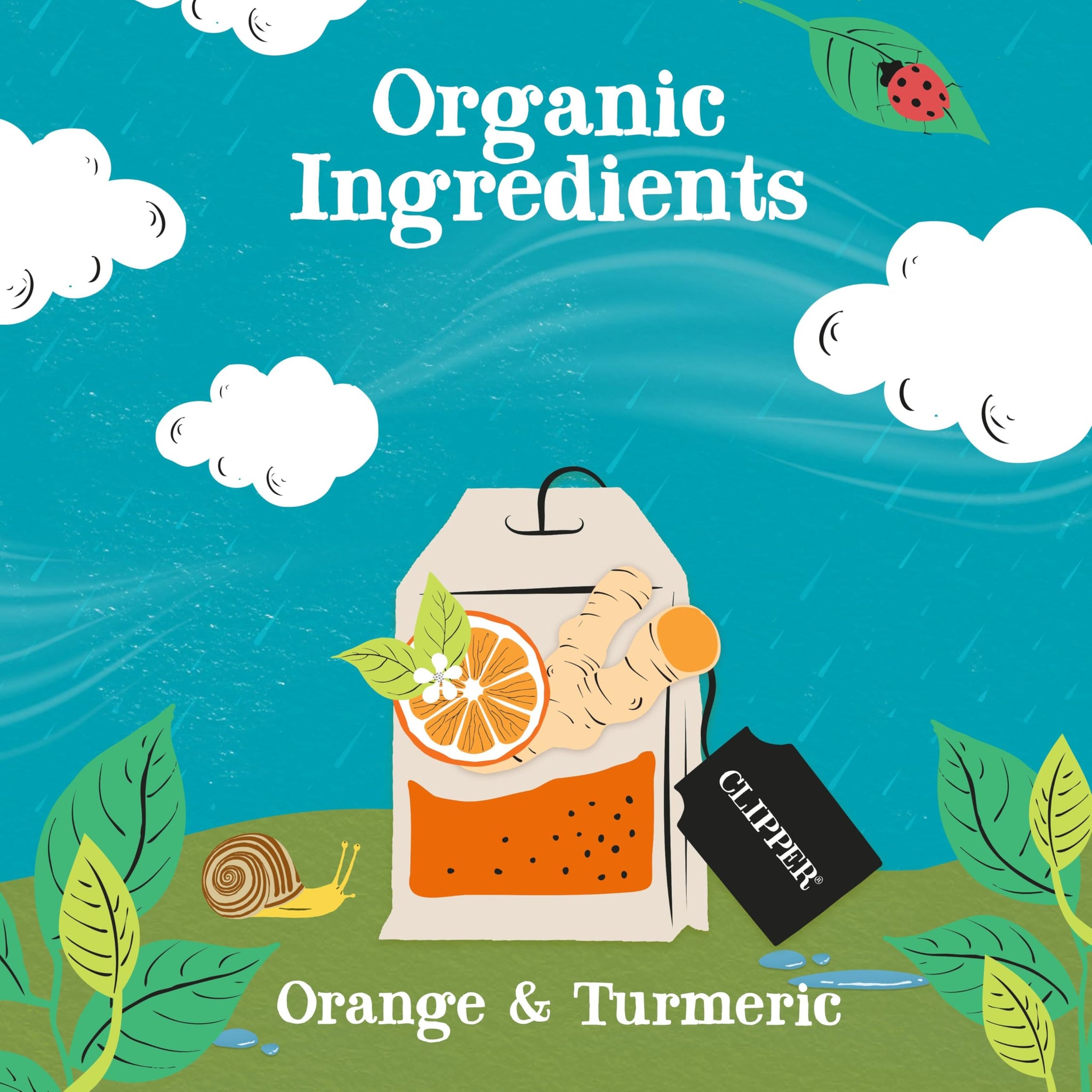 Clipper Tea, Orange & Turmeric, Organic Tea with Licorice Root, Orange Peel and Hibiscus, Plant Based Herbal Tea, Caffeine Free British Tea, 1 Pack