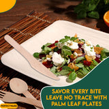 Perfectware 6 inch Square Palm Leaf Plates. Eco Friendly Dinnerware. Set of 25 Plates