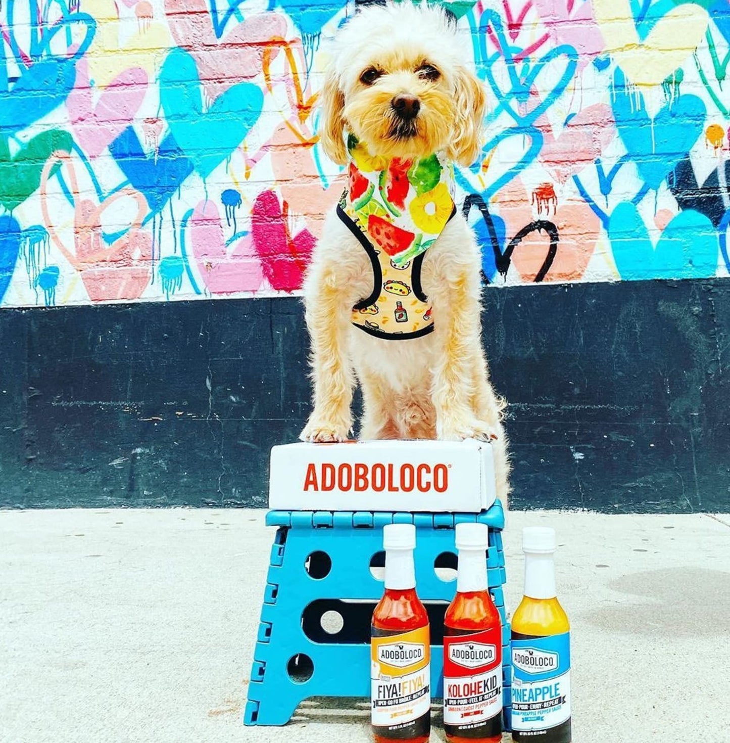 Maui No Ka oi Hot Sauce by Adoboloco, Bold heat and flavor from Trinidad Moruga Scorpion Peppers, Garlic, Made With All Natural Ingredients, 5 fl oz