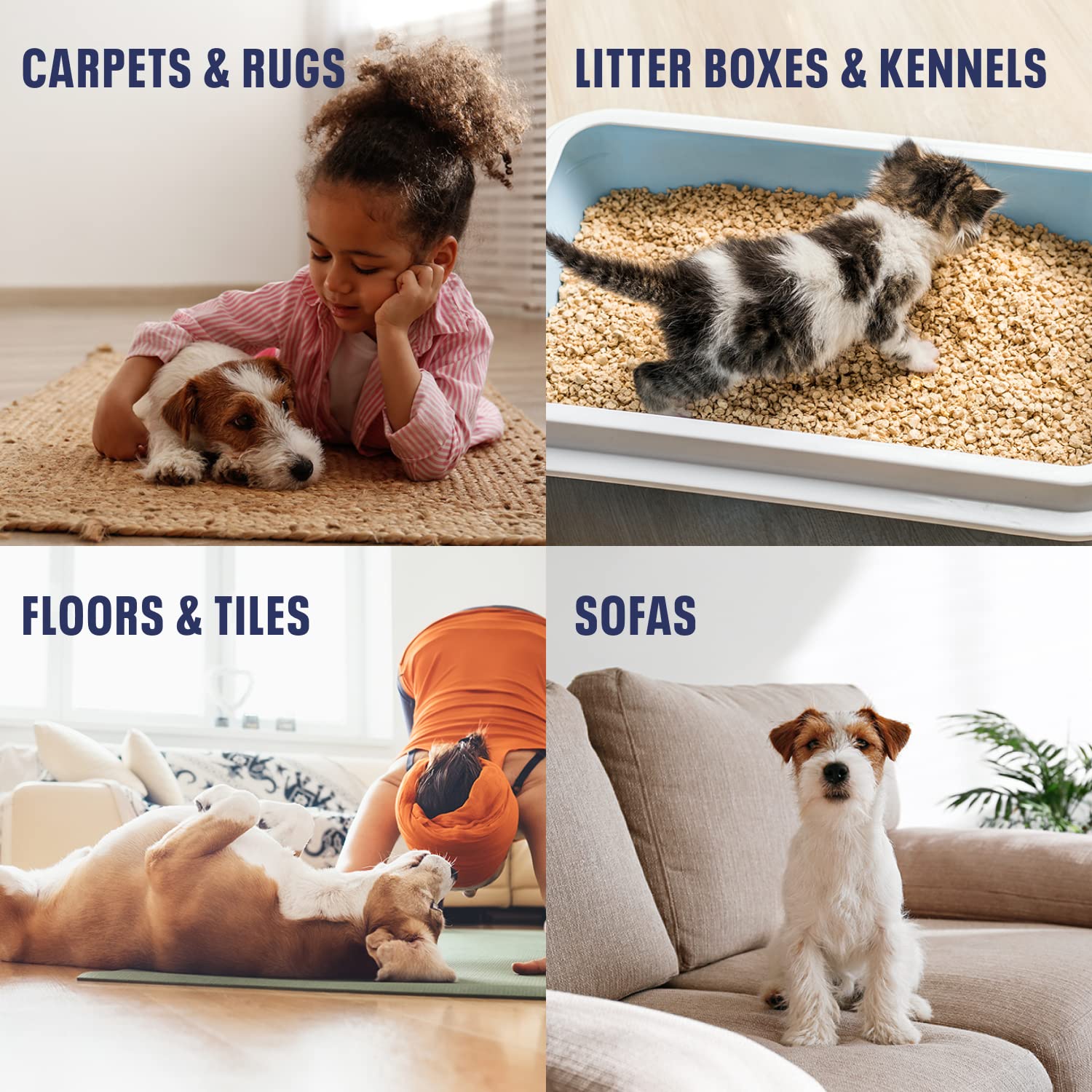 Bioesque Advanced Stain + Odor Remover, Pet-Friendly Natural Enzymatic & Bacterial Formula, Heavy-Duty Stain & Odor Remover, Safe on Carpets, Hard