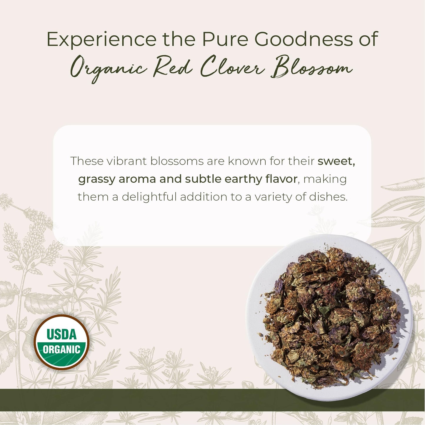Starwest Botanicals Red Clover Blossoms Whole Organic - Dried Loose Leaf Herb for Tea, Edible Flowers, Certified Kosher, Non-GMO - 4 oz Pouch