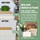 Aheroi Natural Dish Sponge, 18 Count FSC Certified Plant-Based Biodegradable Kitchen Sponges for Dishes, Compostable Eco Friendly Sponges, Organic
