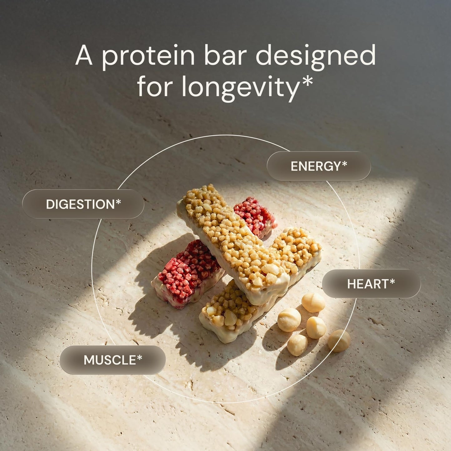 Blueprint Bryan Johnson Macadamia Nut Protein Bars - 9G Plant Protein - Vegan, Low Carb, Low Sugar, Keto-Friendly Snacks - Non-GMO, Raw Nut Bar
