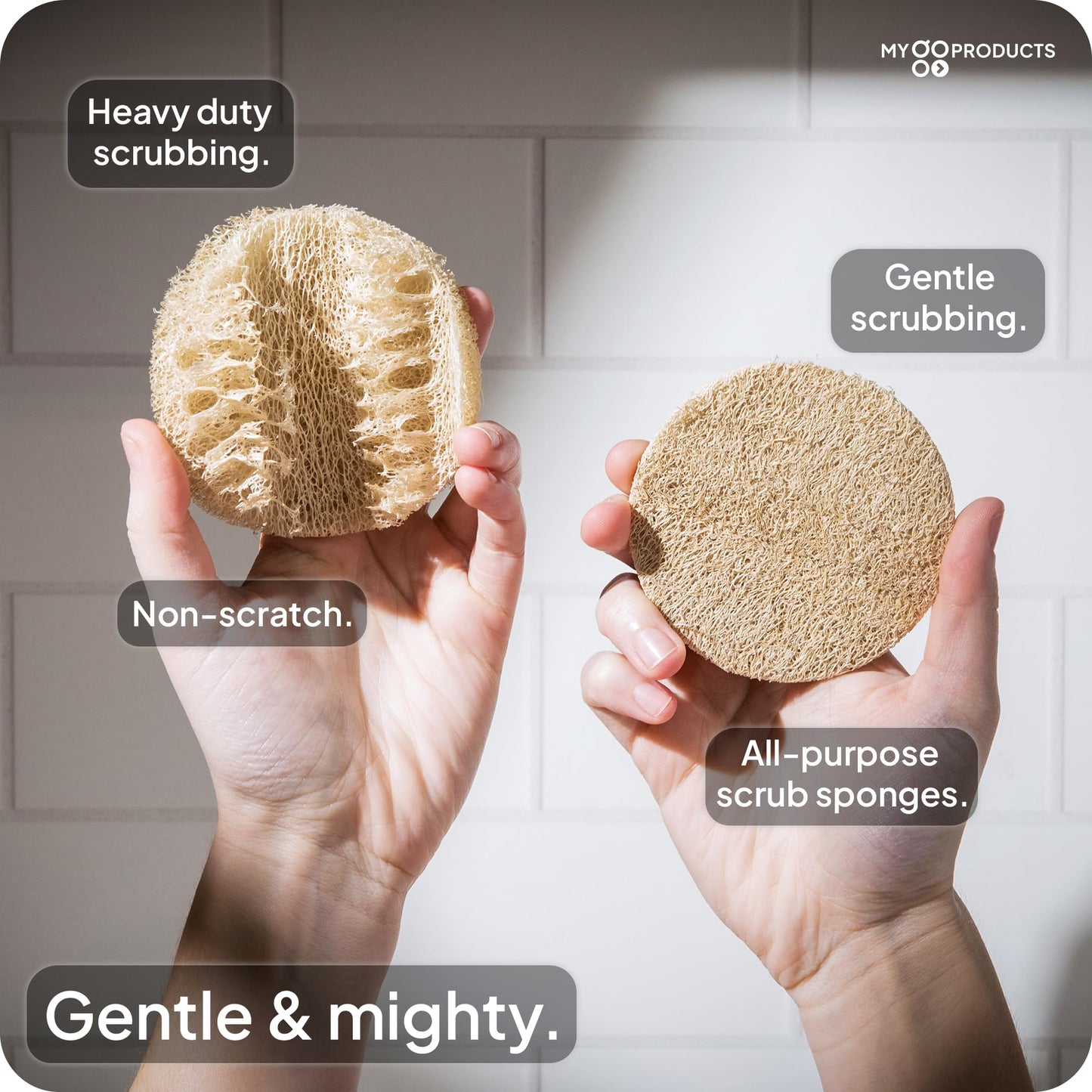LoofaGO (10-Pack) Natural Loofah Sponges - 100% Biodegradable, Compostable & Plastic-Free, Non-Scratch Scrubbers for Kitchen, Dishes & Bath