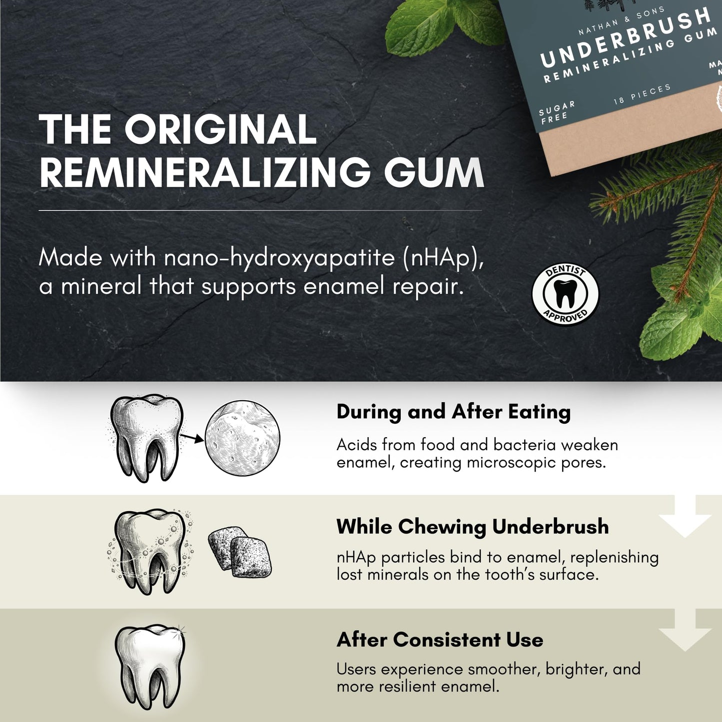 Underbrush Mastic Mint Remineralizing Natural Gum, Sugar Free Xylitol Gum with Hydroxyapatite, Supports Fresh Breath and Oral Health, Tree Sap Base