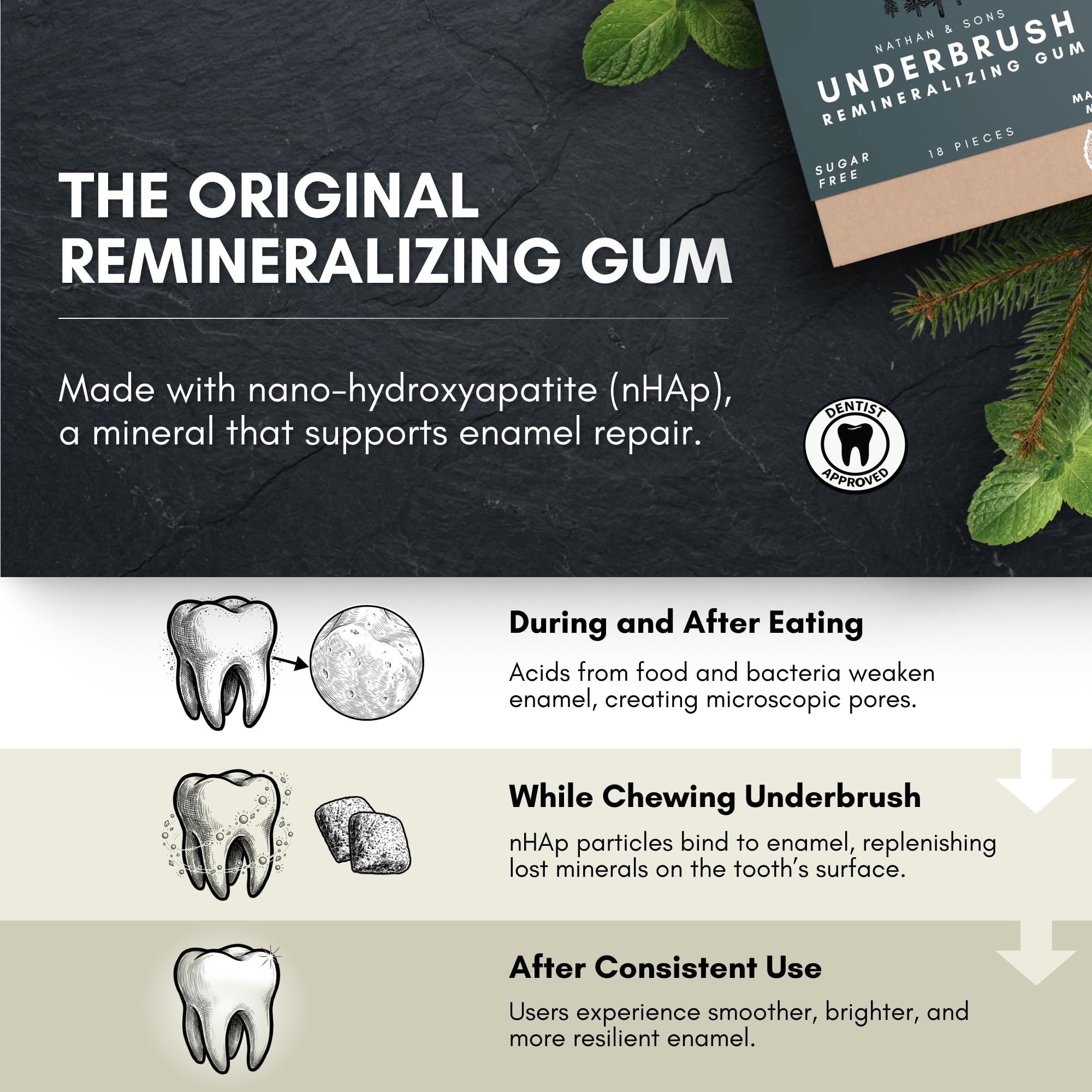 Underbrush Mastic Mint Remineralizing Natural Gum, Sugar Free Xylitol Gum with Hydroxyapatite, Supports Fresh Breath and Oral Health, Tree Sap Base