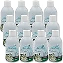 TimeMist Premium Metered Air Freshener Refills - Country Garden - 7.1 oz (Case of 12) - 1042786 - Lasts Up To 30 Days and Neutralizes Tough Unwanted