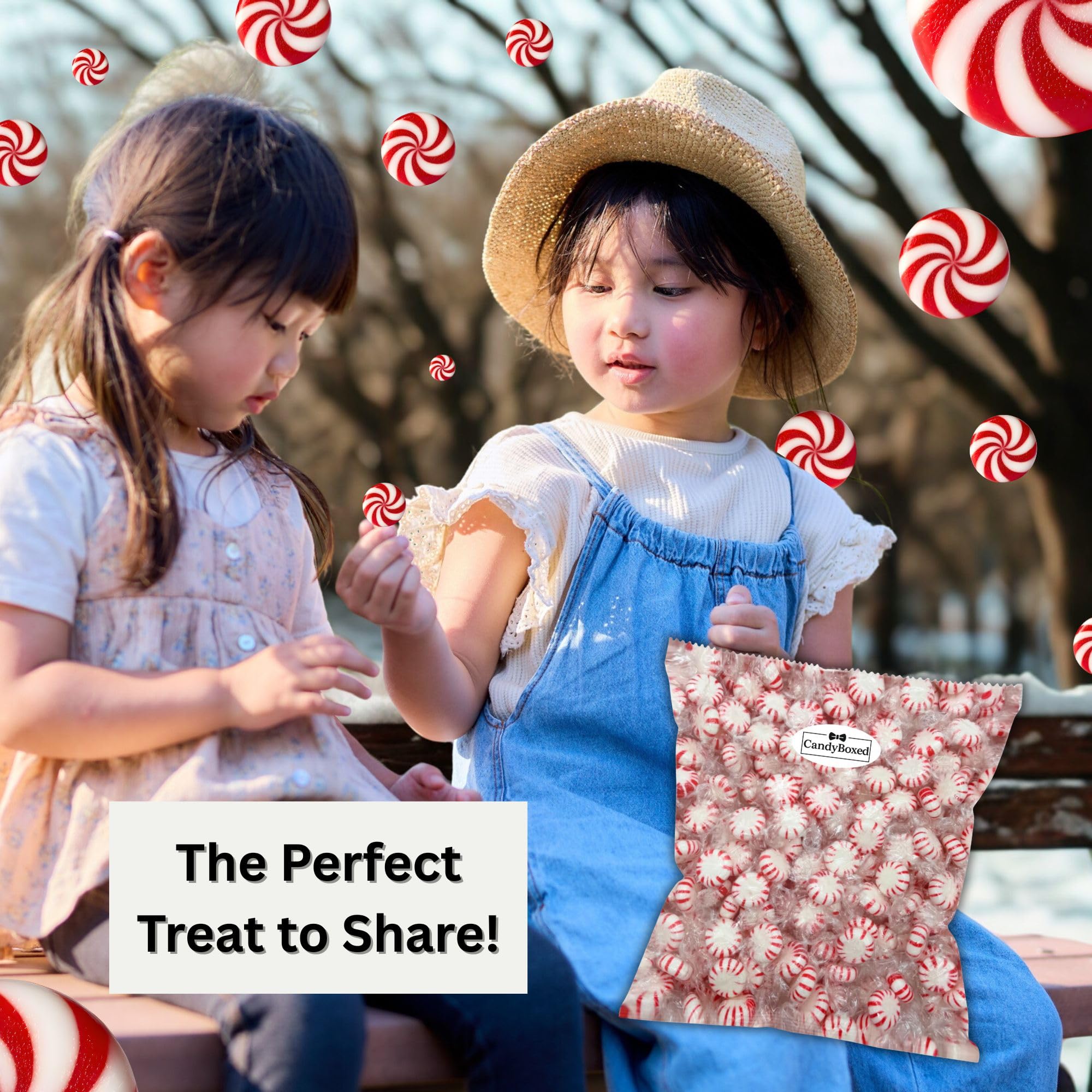 CandyBoxed Peppermint Candy, 3 Pound Bag, Individually Wrapped, Old Fashioned Hard Candy Discs