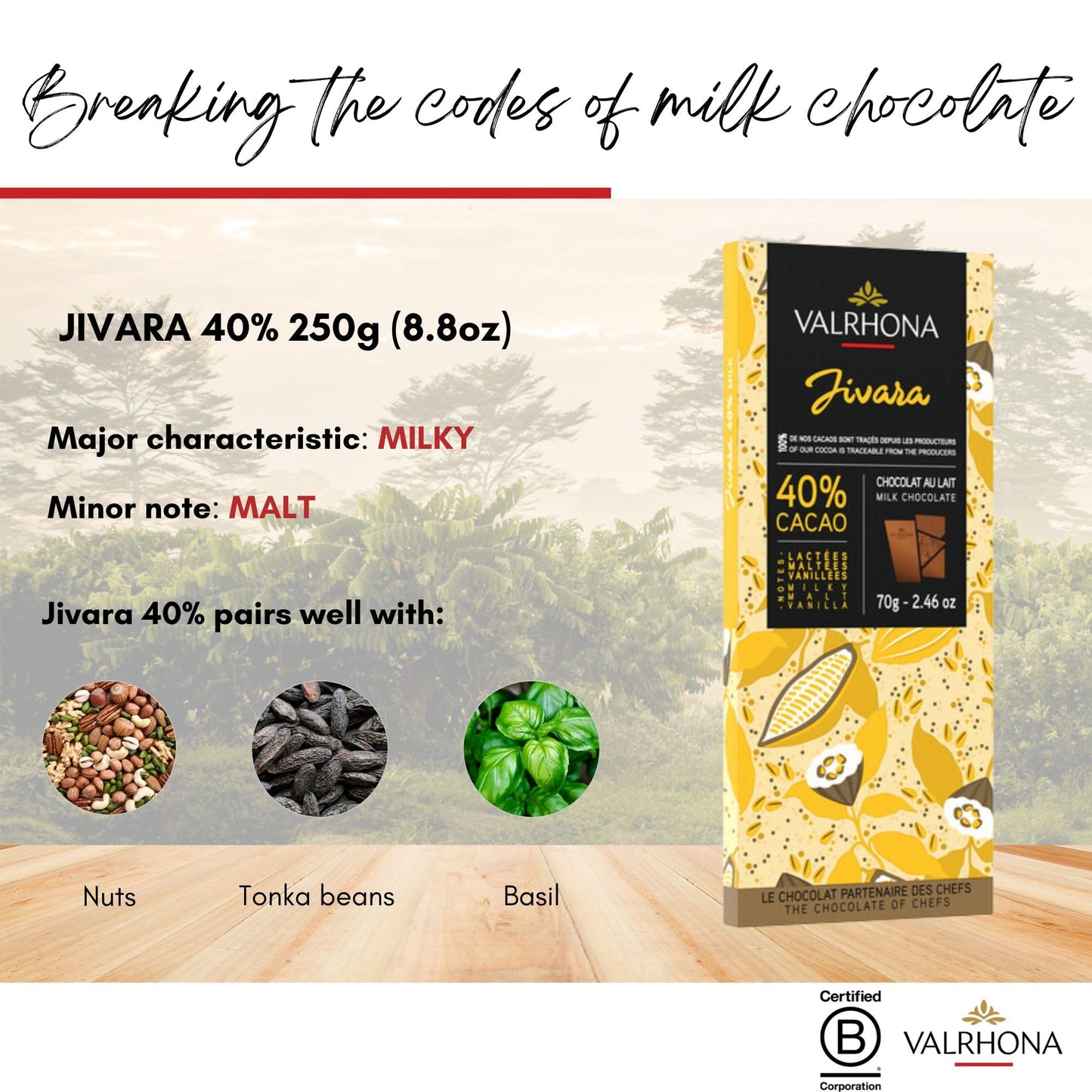 Valrhona Milk Chocolate JIVARA 40% Cacao Tasting Bar - Gourmet French Chocolate, Caramel & Vanilla. The Darkest Milk Chocolate for Baking & Frostings