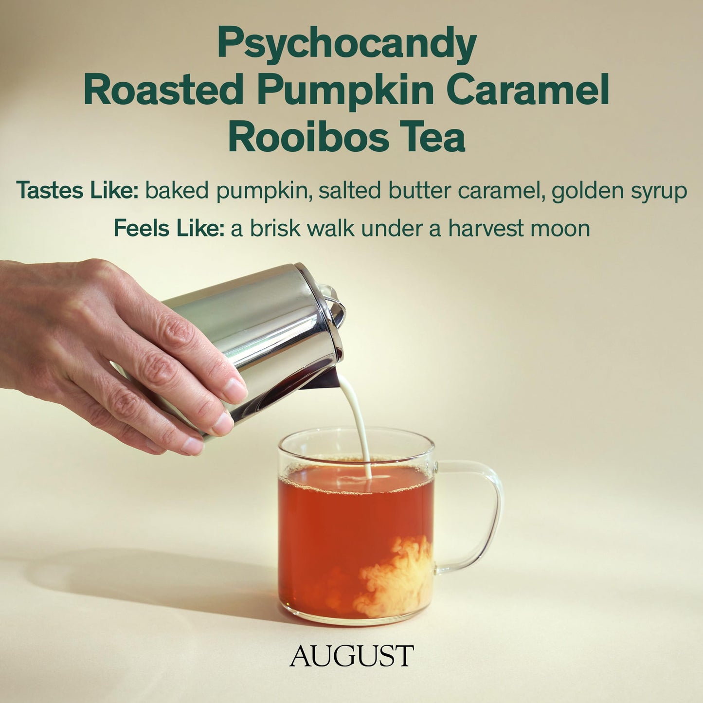 August Uncommon Psychocandy Loose Leaf Tea - Roasted Pumpkin Caramel South African Rooibos Tea - Vegan, Gluten-Free & Non-GMO - Creamy Caramel Flavor