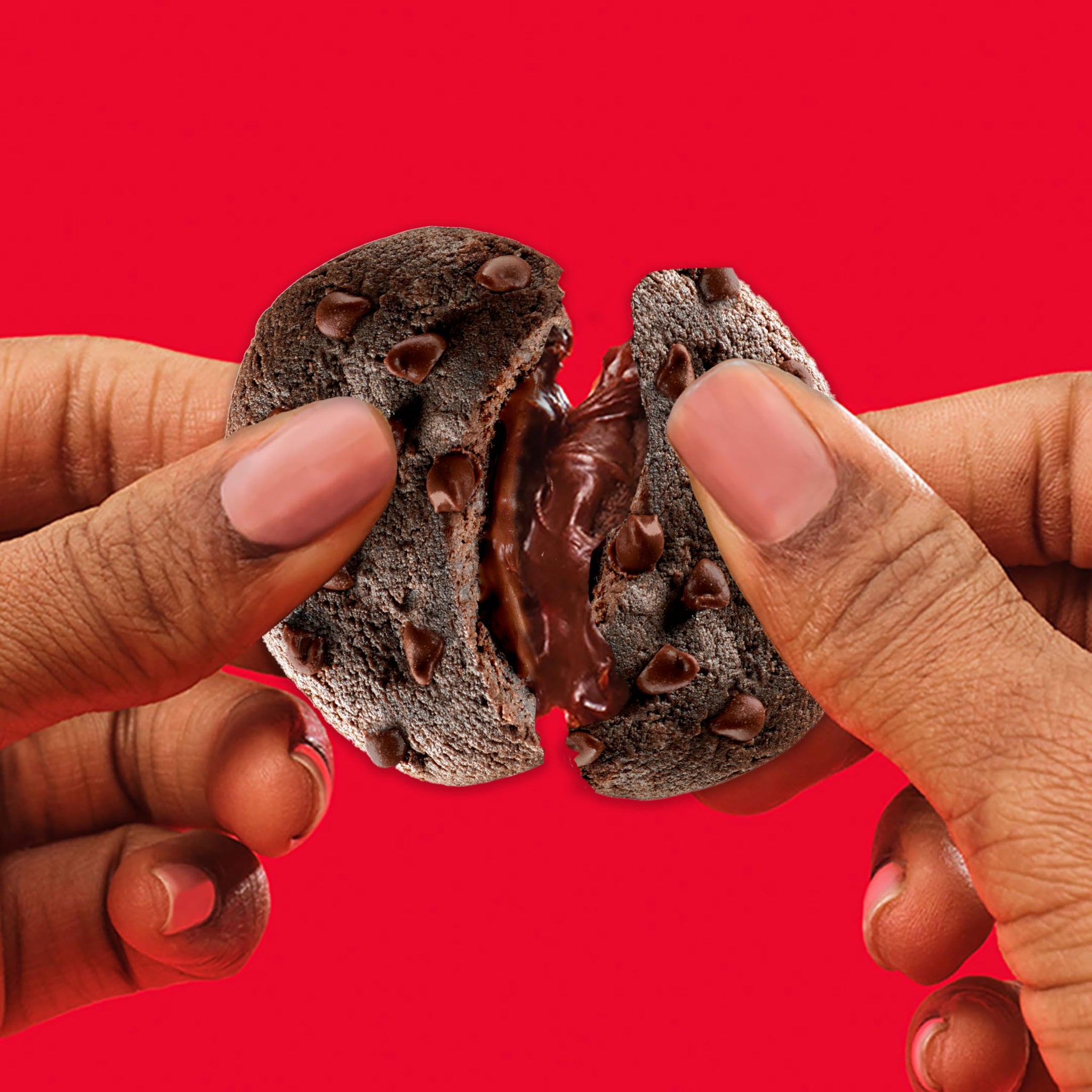 CHIPS AHOY! Chewy Chocolatey Hershey's Fudge Filled Soft Chocolate Chip Cookies, Chocolate Cookies, Family Size, 14.85 oz