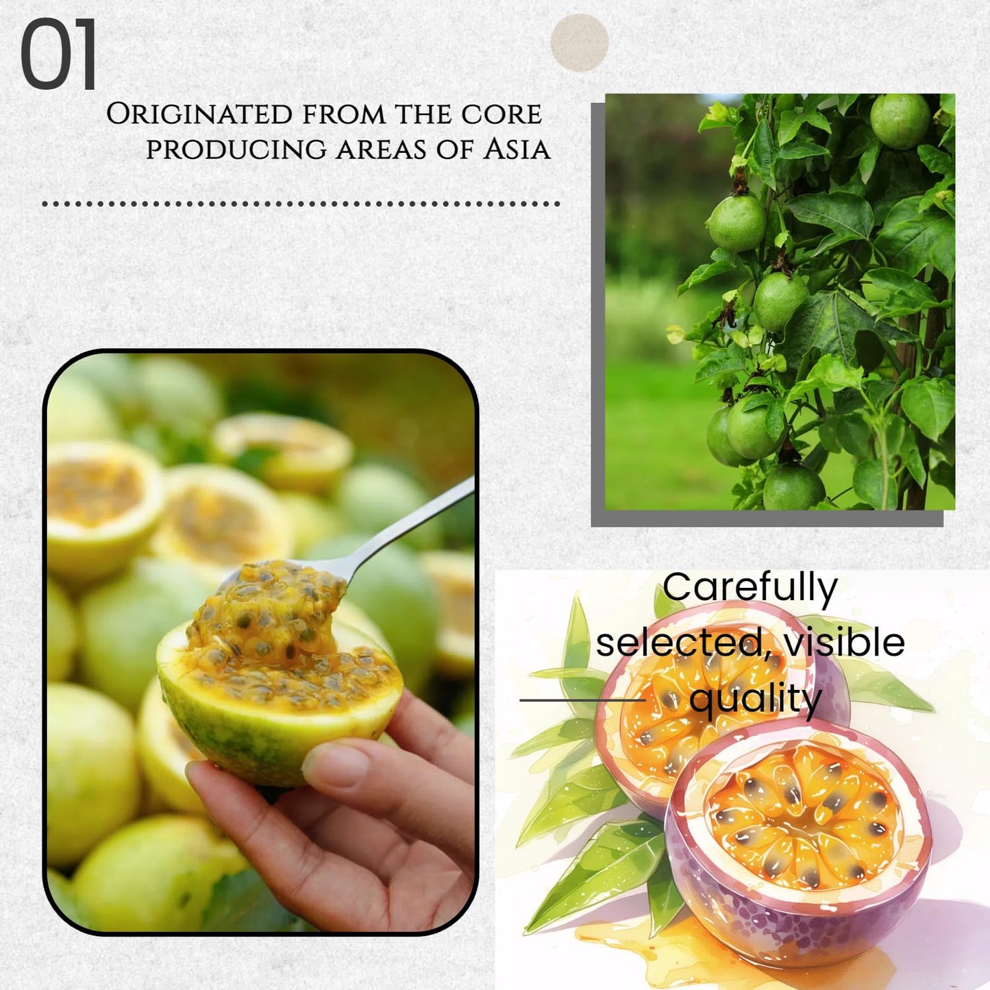 Freeze-Dried Passion Fruit - 7.76oz (220g) Airtight Can | Tangy & Sweet Crunchy Snack. Perfect for Smoothies, Baking, Cocktail Mixology, and Tea