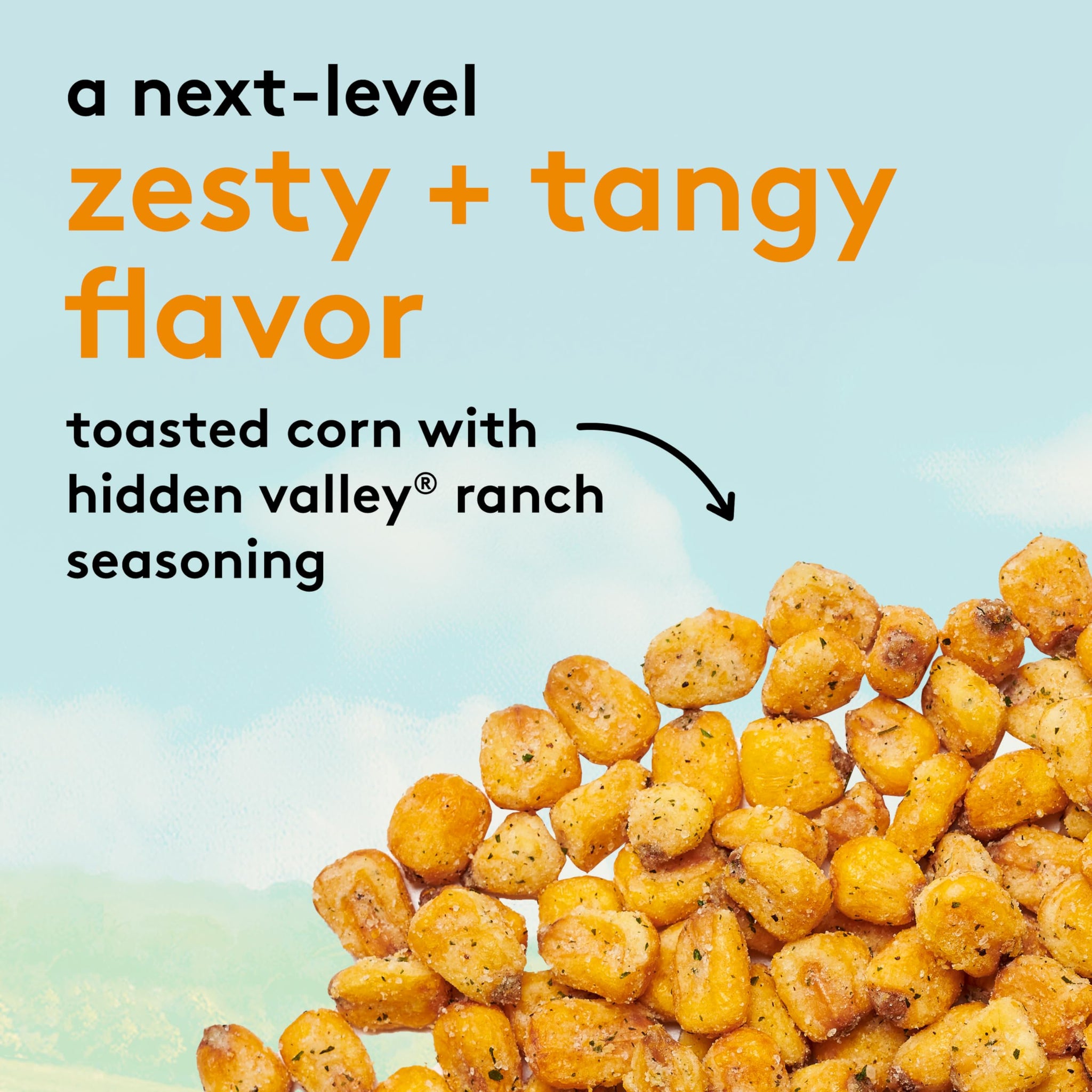 Snak Club Toasted Corn with Hidden Valley Ranch Seasoning, Roasted and Salted Corn Nuggets, Gluten-Free and Kosher Snack, 8.5 oz Resealable Bag