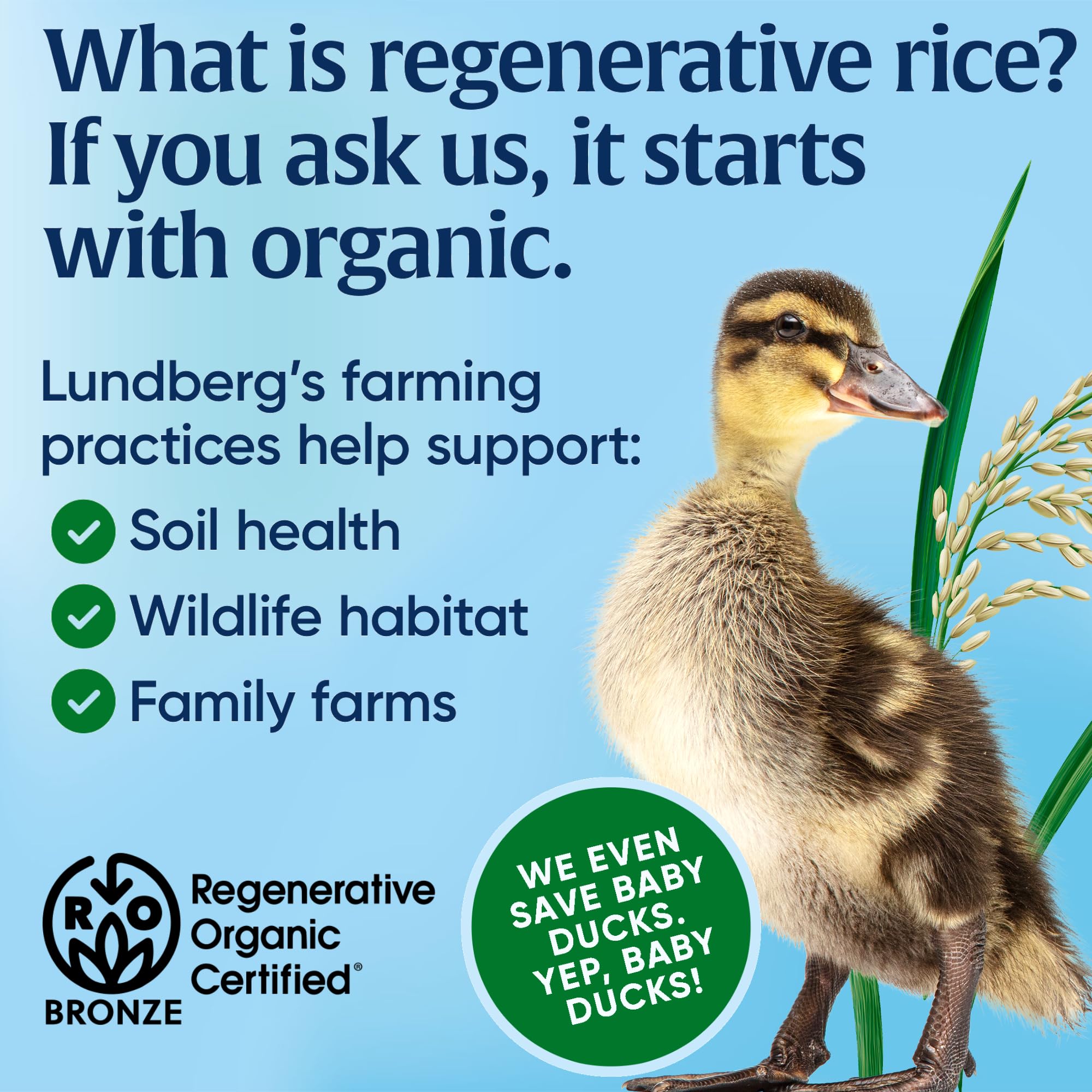 Lundberg Organic Whole Grain Rice Cakes Cinnamon Toast, 9.5 Oz