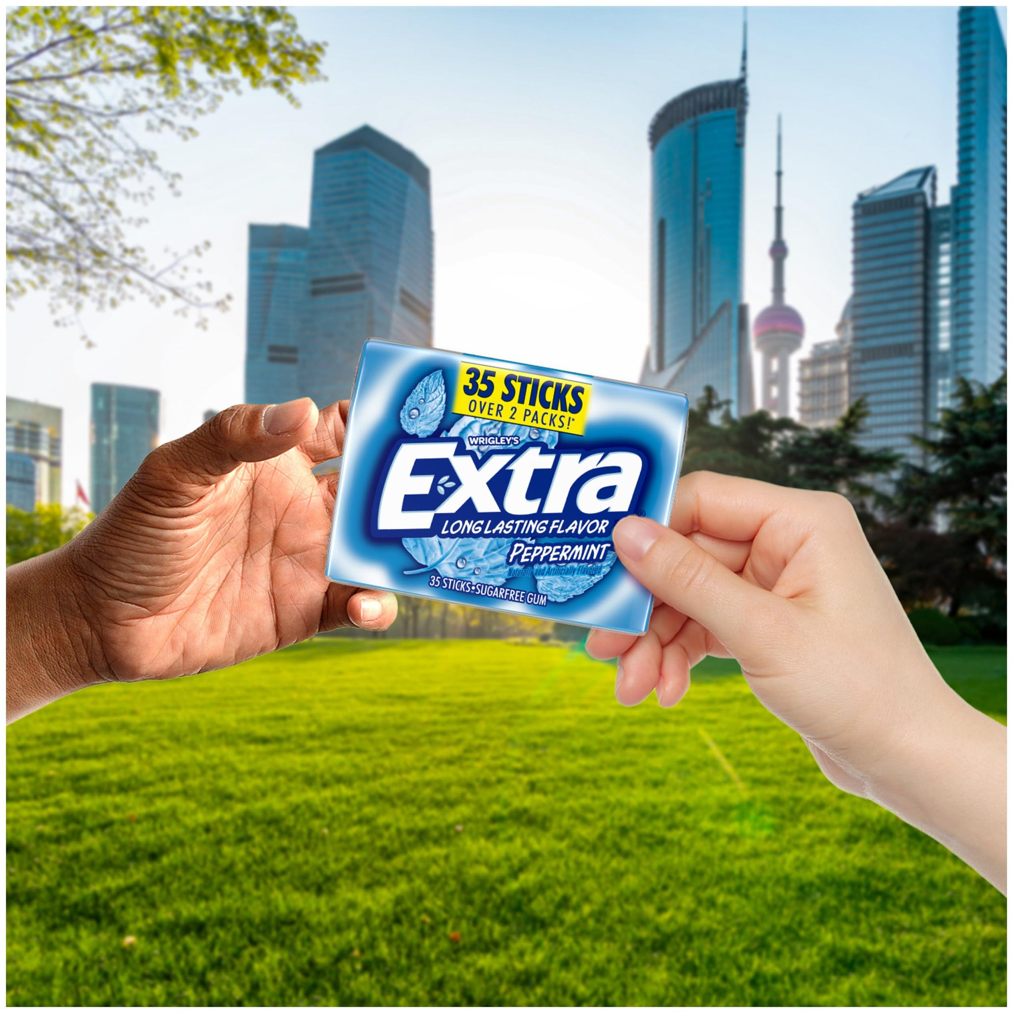 EXTRA Gum Peppermint Sugar Free Chewing Gum Mega Pack, 35 Stick (Pack of 6)