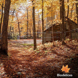 Biodelices Organic Maple Syrup, Maple Butter, Maple Jelly, and Maple Sugar - 100% Pure Maple Syrup - Tasting Pack - Premium Artisan, Natural