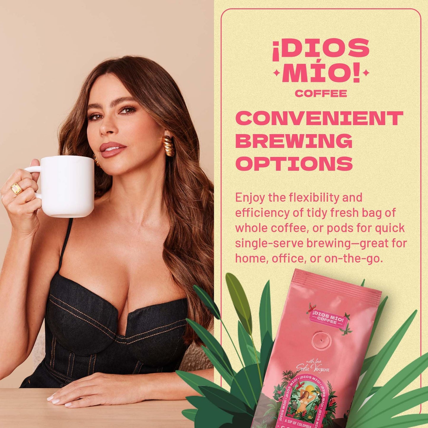 Dios Mio Coffee by Sofia Vergara, Light Roast, Whole Bean Premium Colombian Coffee, 12 Ounce Bag