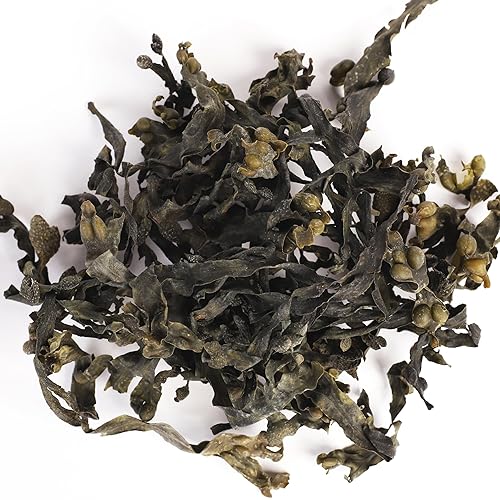 VITAMINSEA Bladderwrack Dried Seaweed | Wild North Atlantic Seaweed for Snacking, Seasoning, Soups & Salads | Rich in Vitamins, Minerals